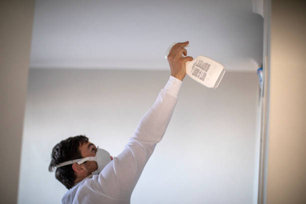 Best Crawl Space Mold Removal  in Sun Village, CA